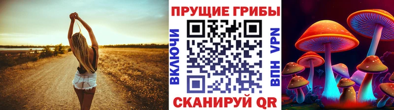 наркота  OMG ССЫЛКА  Псилоцибиновые грибы Psilocybine cubensis  Отрадный 